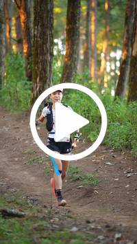 BIB:  <button type="button" onclick="openModal(27293562)" class="btn btn-primary btn-sm float-right" data-toggle="modal" data-target=".modal-high-quality">
                <i class="fa fa-download"></i> Download
                </button>